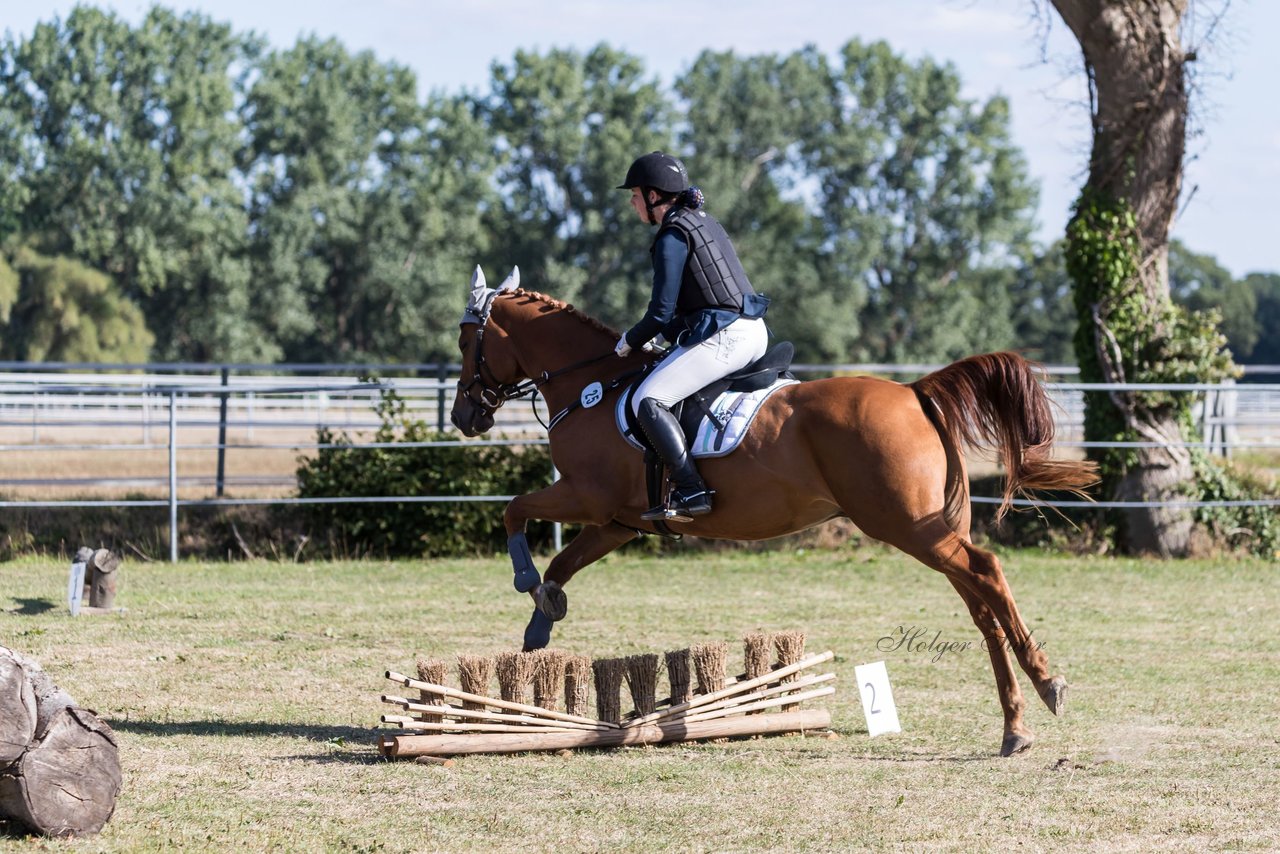 Bild 67 - Pony Akademie Turnier